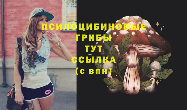 apvp Пестово