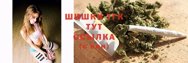apvp Пестово