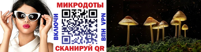 Галлюциногенные грибы прущие грибы  Тихорецк 