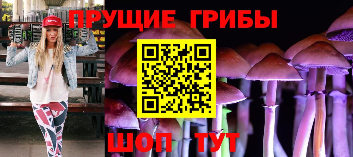 Псилоцибиновые грибы MAGIC MUSHROOMS  цены   Тихорецк  Вход с VPN 
