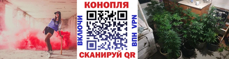 купить наркотик  Тихорецк  МЕГА ТОР  Конопля планчик 